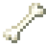 Bone.webp